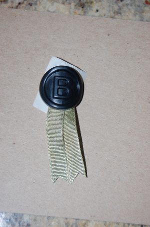 Plastic Medallion with Ribbon